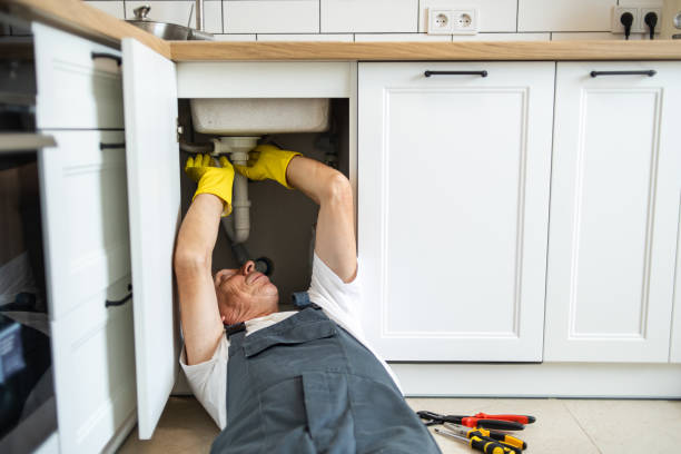 Best Plumbing Inspection Services  in Calumet Park, IL